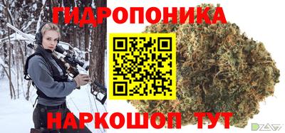 стаф Пенза