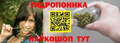 стаф Пенза