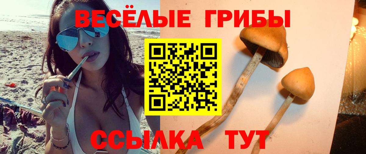 Псилоцибиновые грибы мицелий  Вход с VPN  Мурманск 