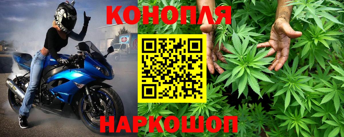 Марихуана конопля Мурманск